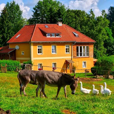 Chalupa Jenín Dolní Dvořiště Exterior foto