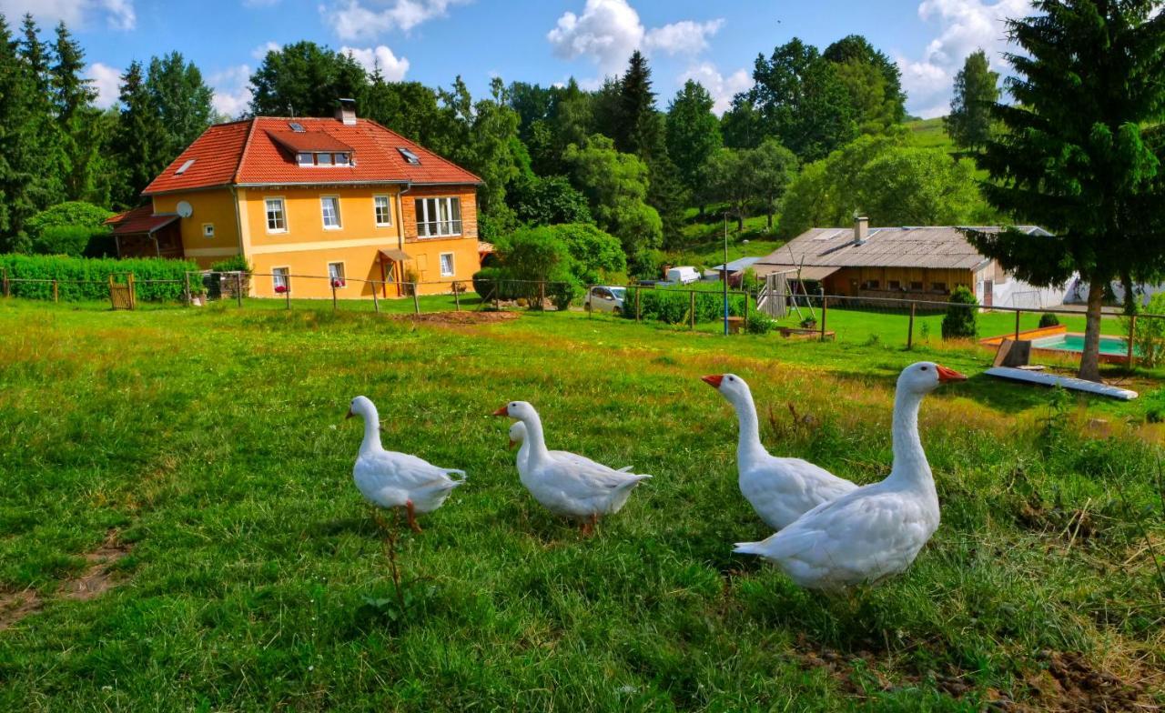 Chalupa Jenín Dolní Dvořiště Exterior foto