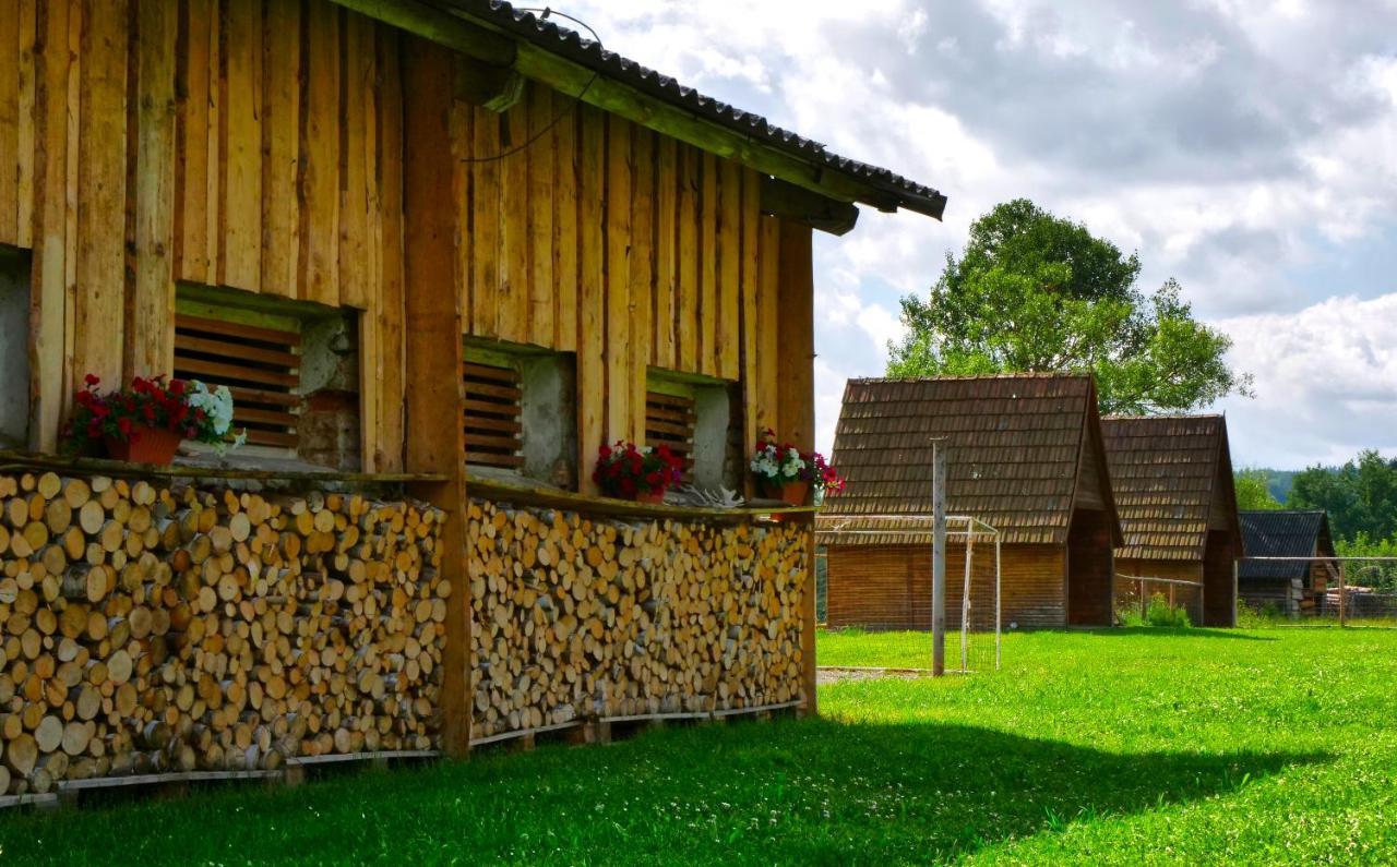 Chalupa Jenín Dolní Dvořiště Exterior foto